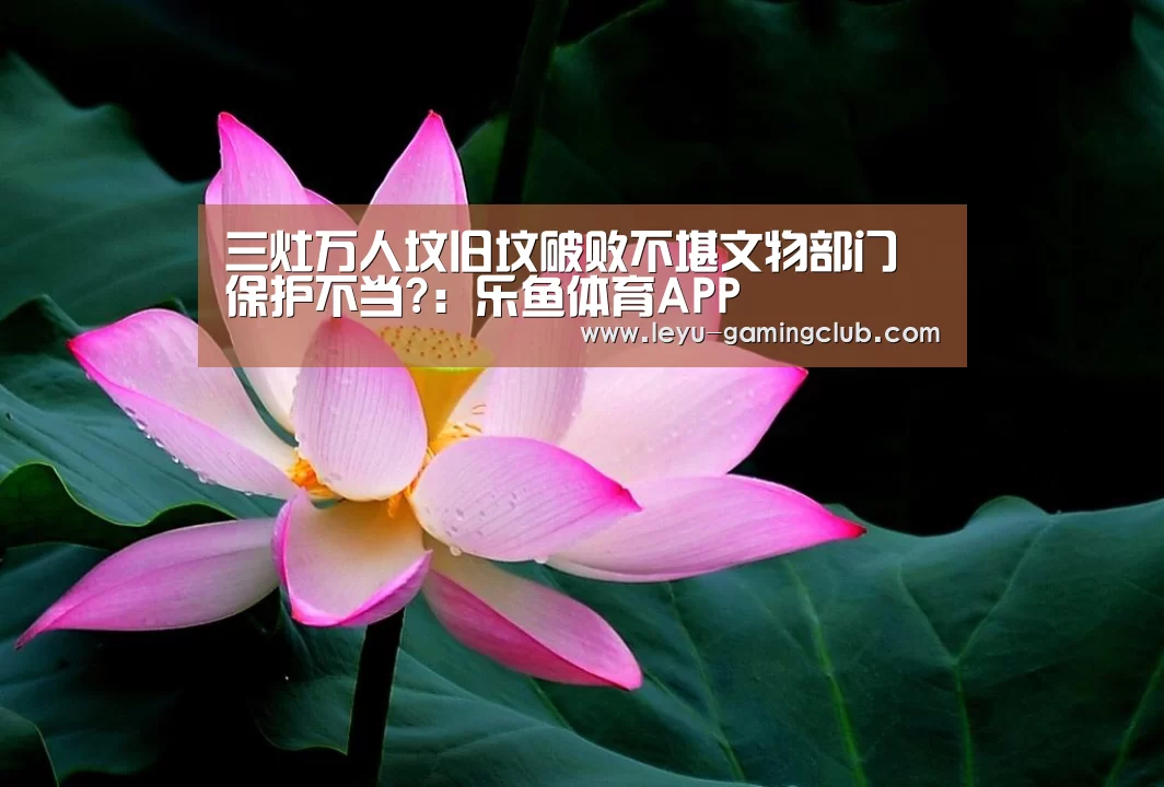 乐鱼登录入口