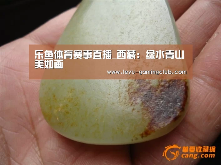 乐鱼体育赛事直播