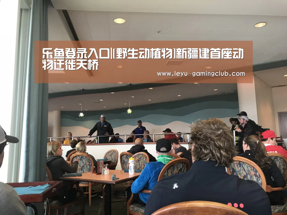 乐鱼体育赛事直播